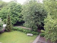 Blick in den Garten